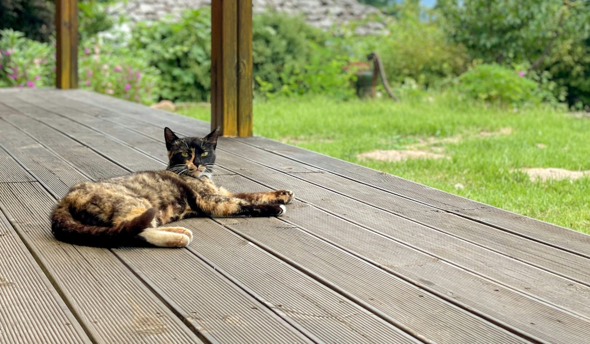 Improve Decking Accessibility with AntiSlip Half Steps Ramps For Access